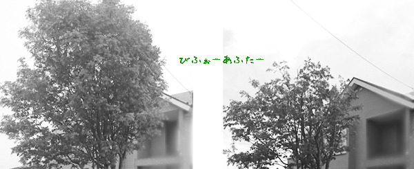 20180602a.jpg