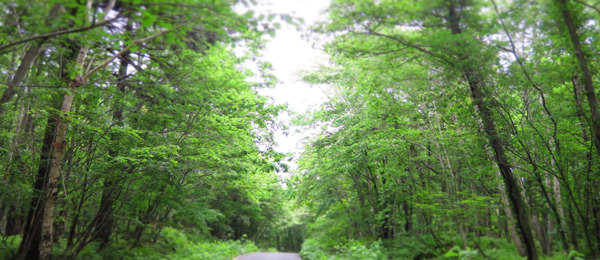 20180617a.jpg