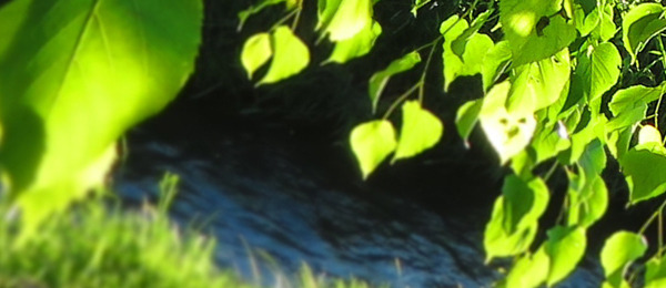 20180624a.jpg